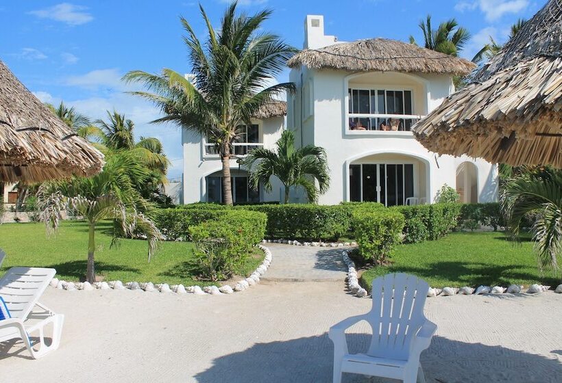 酒店 Puerto Holbox Beach Front