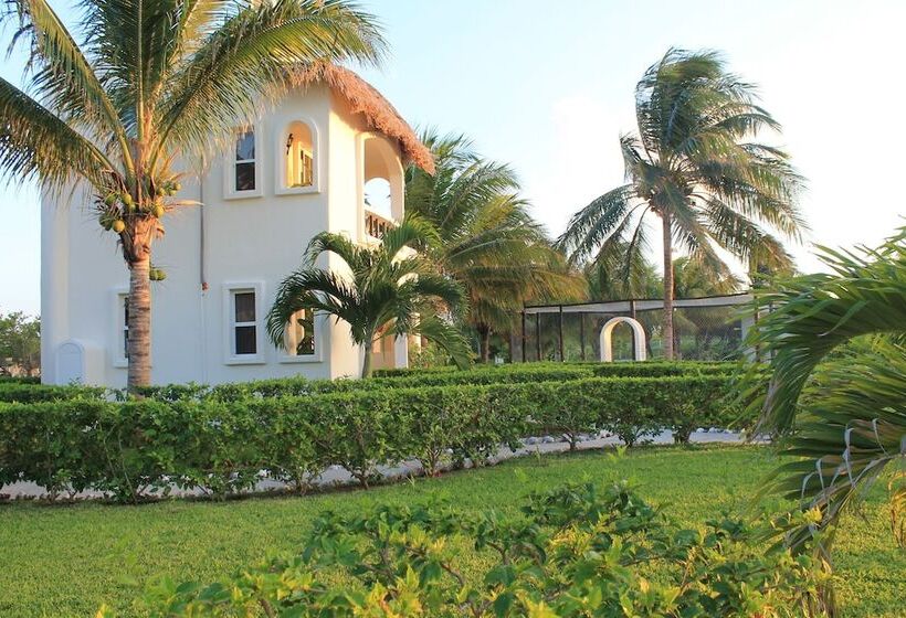 酒店 Puerto Holbox Beach Front