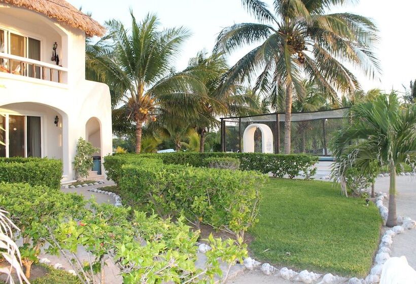 酒店 Puerto Holbox Beach Front