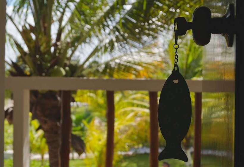 酒店 Puerto Holbox Beach Front