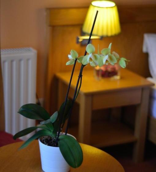 فندق Restaurant Gonduzo