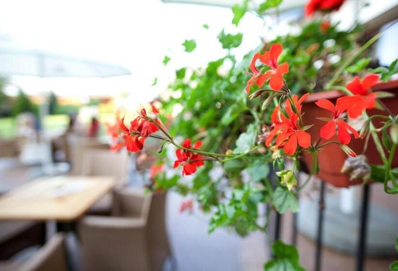 ホテル Rezydencja Solei