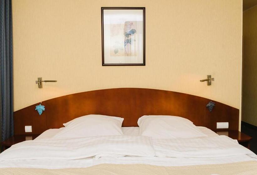 ホテル Rezydencja Solei