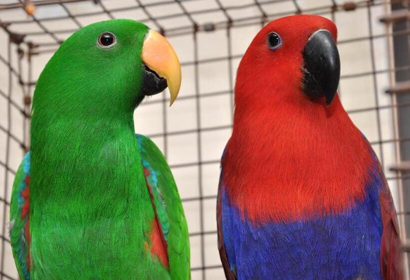 فندق Sai Palki Niwara