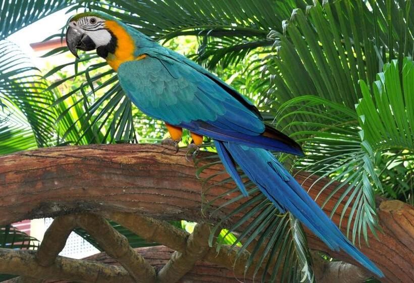 فندق Sai Palki Niwara