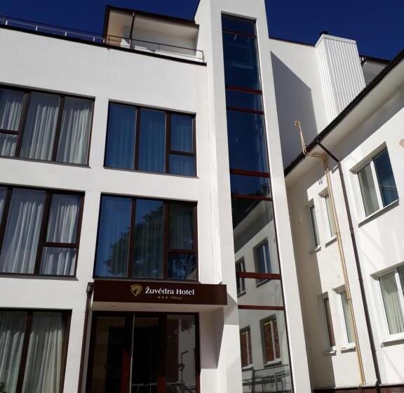 هتل žuvėdra