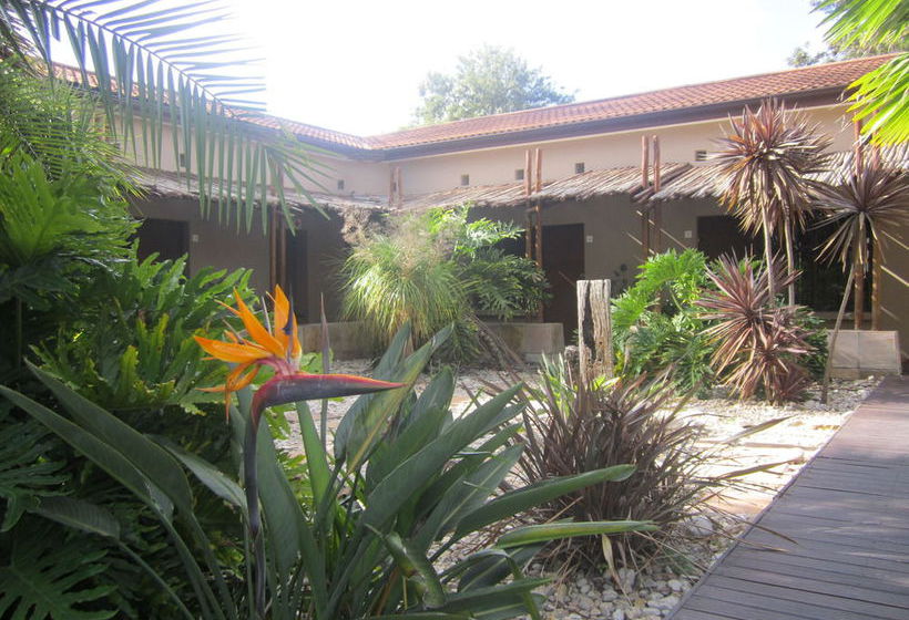 Ibhayi Guest Lodge Lion Roars S & Lodges