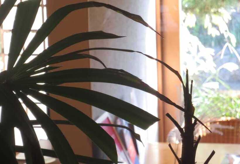 K S House Ito Onsen  Historical Ryokan Hostel