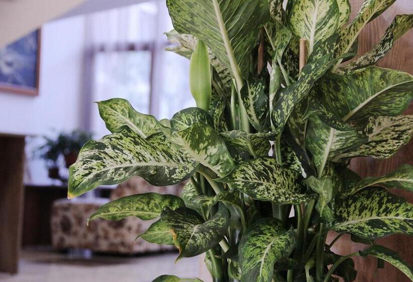 Kamchia Park Hotel All Inclusive & Free Parking