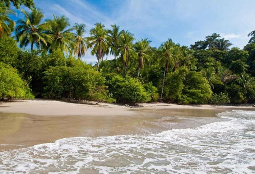 La Palapa Eco Lodge Resort