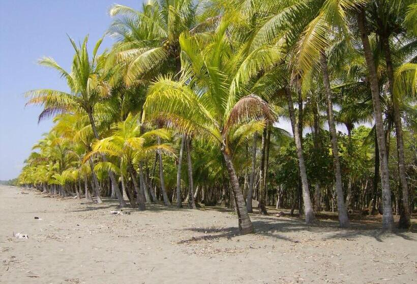 La Palapa Eco Lodge Resort