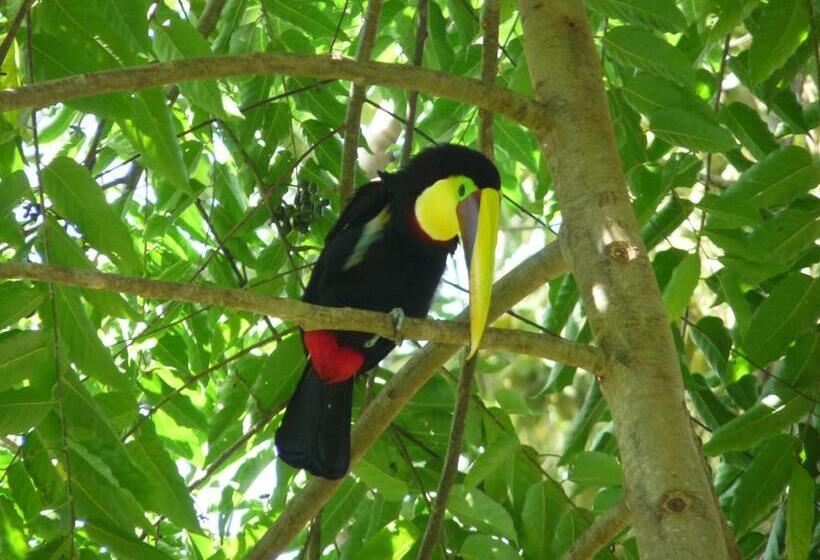 La Palapa Eco Lodge Resort