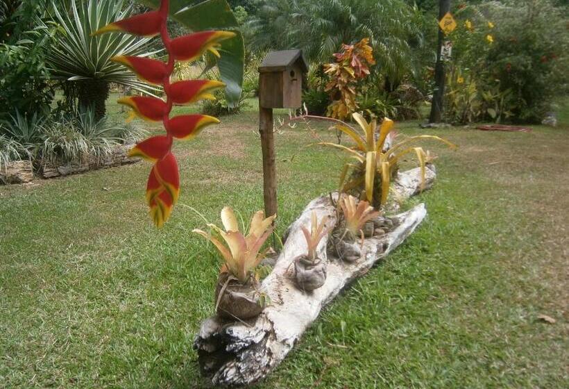 La Palapa Eco Lodge Resort