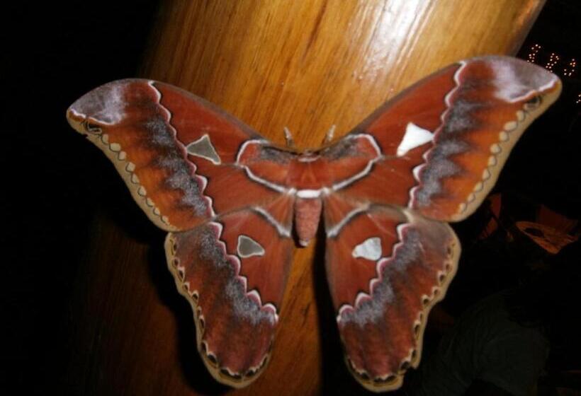 La Palapa Eco Lodge Resort