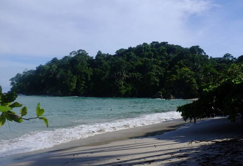 La Palapa Eco Lodge Resort