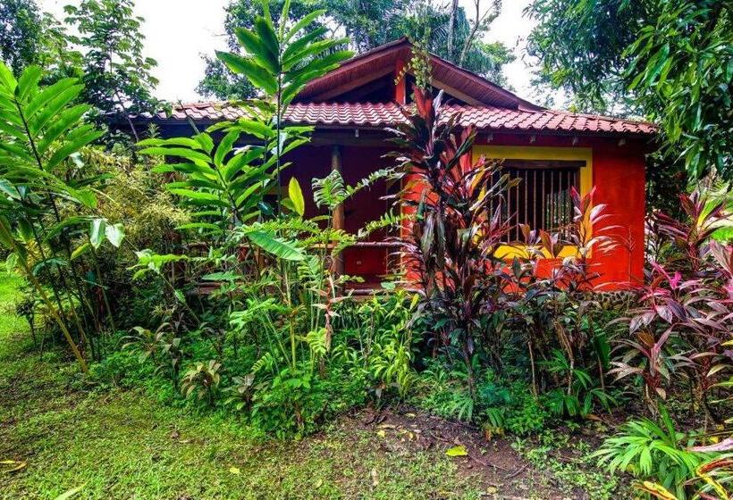 La Palapa Eco Lodge Resort