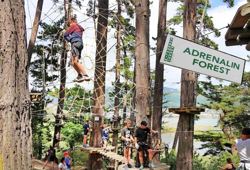מוטל Amethyst Court Motor Lodge