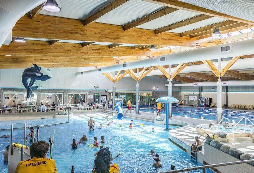 מוטל Amethyst Court Motor Lodge