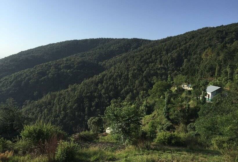 The Ayali Fernhill Resort, Chail