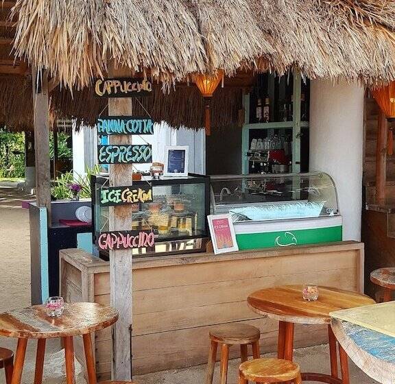 Ocean Vida Beach And Dive Resort