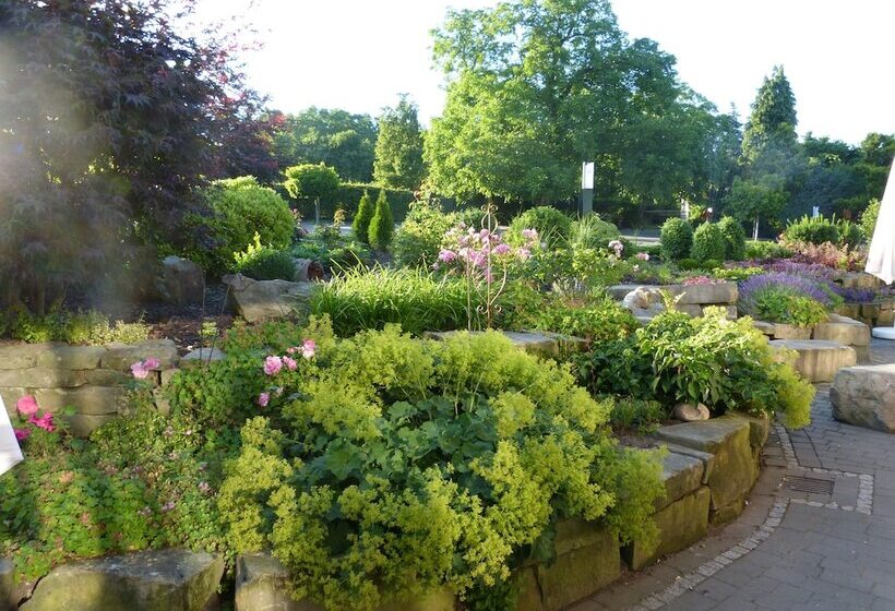 بنسيون Evering