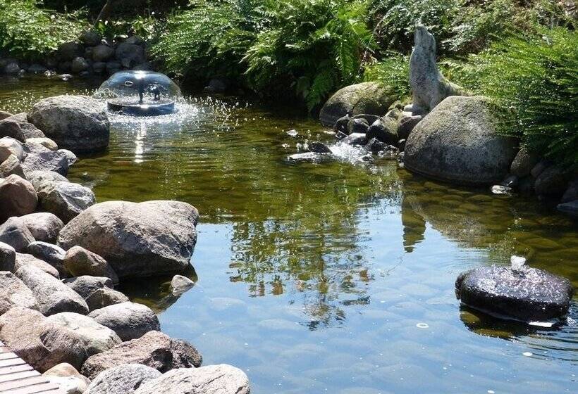 بنسيون Evering