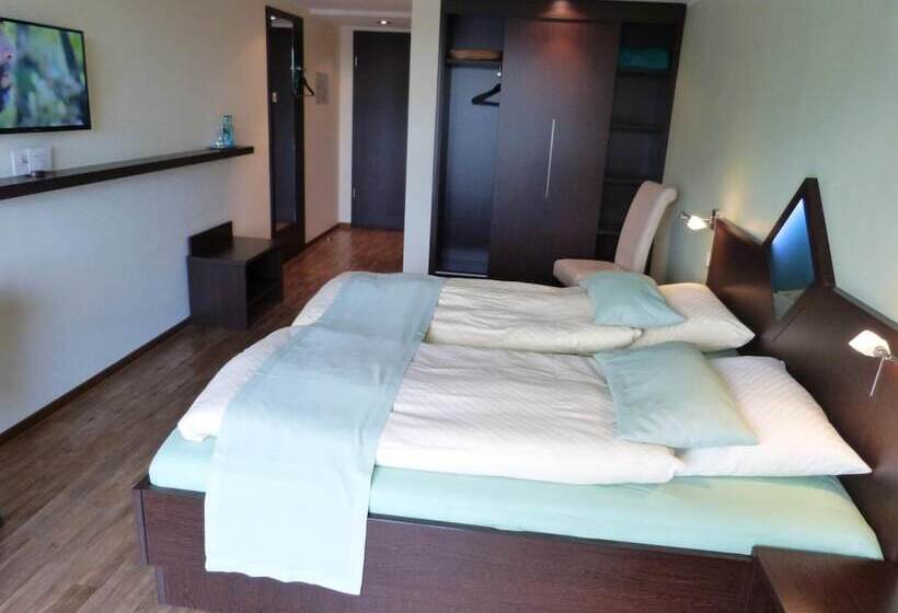 بنسيون Evering