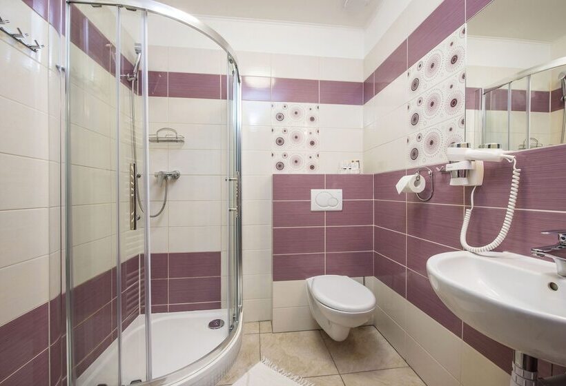 پانسیون Wellness Penzión Vila Mery