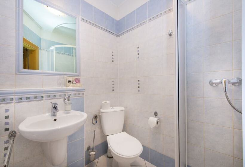 پانسیون Wellness Penzión Vila Mery