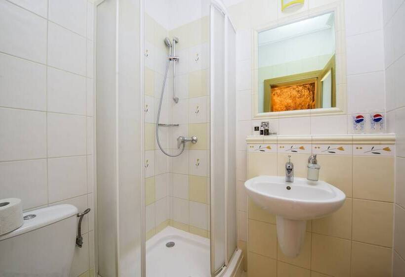 پانسیون Wellness Penzión Vila Mery