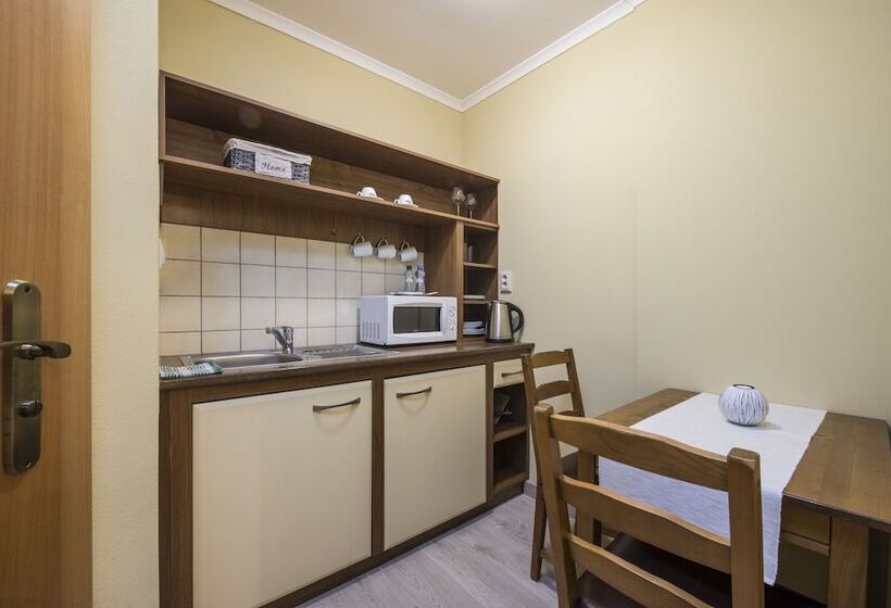 پانسیون Wellness Penzión Vila Mery