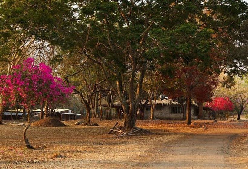 渡假胜地 Jungle Hut