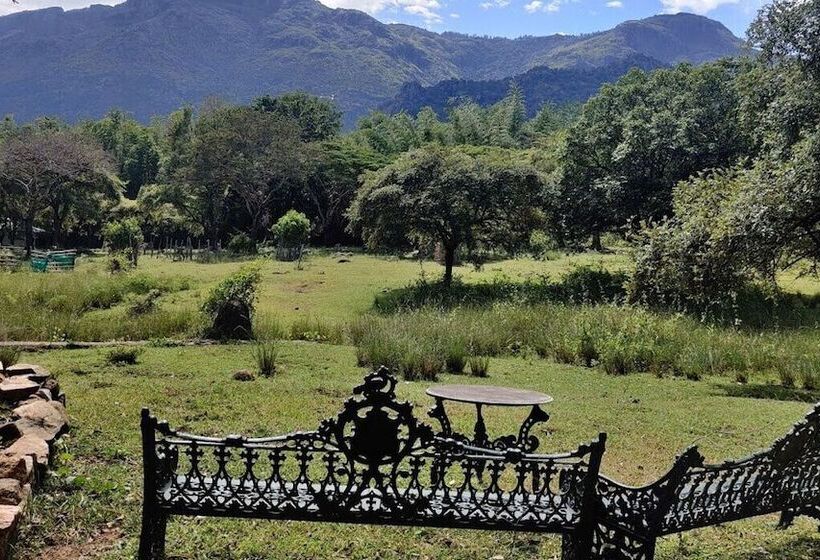 渡假胜地 Jungle Hut