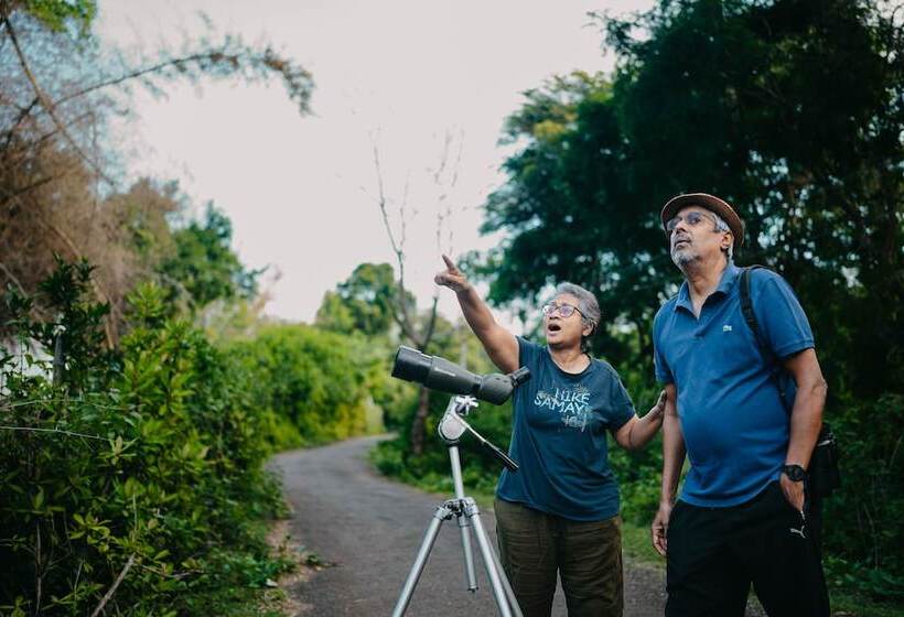 渡假胜地 Jungle Hut