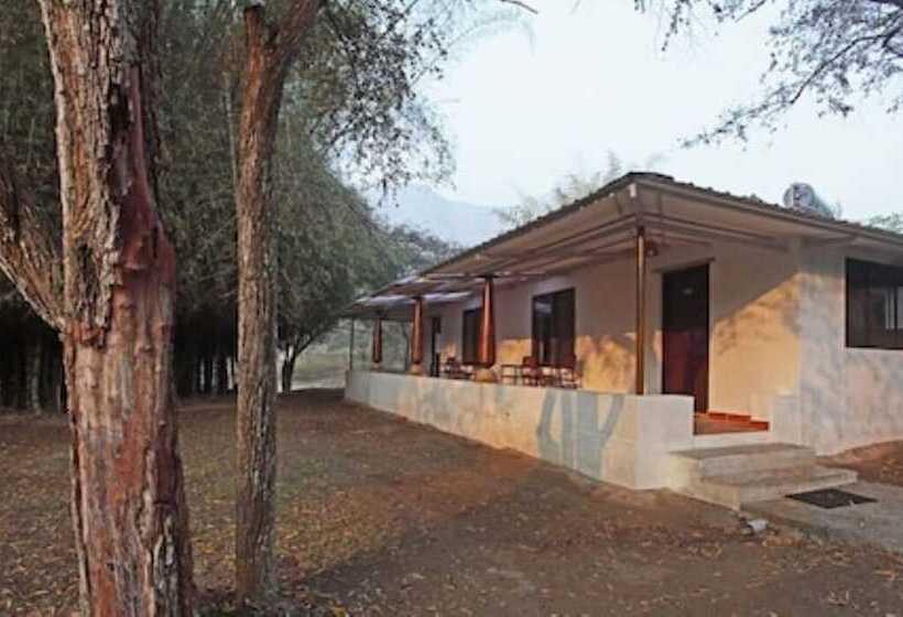 渡假胜地 Jungle Hut