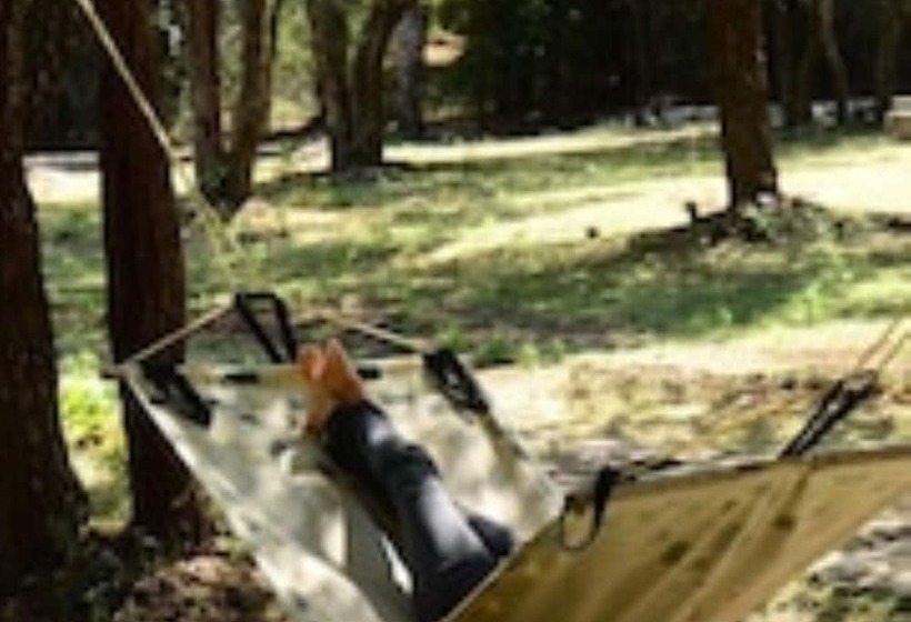 渡假胜地 Jungle Hut