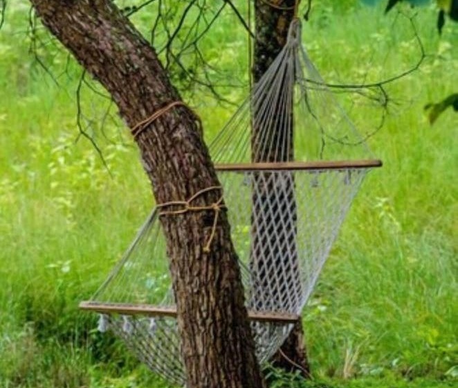 渡假胜地 Jungle Hut