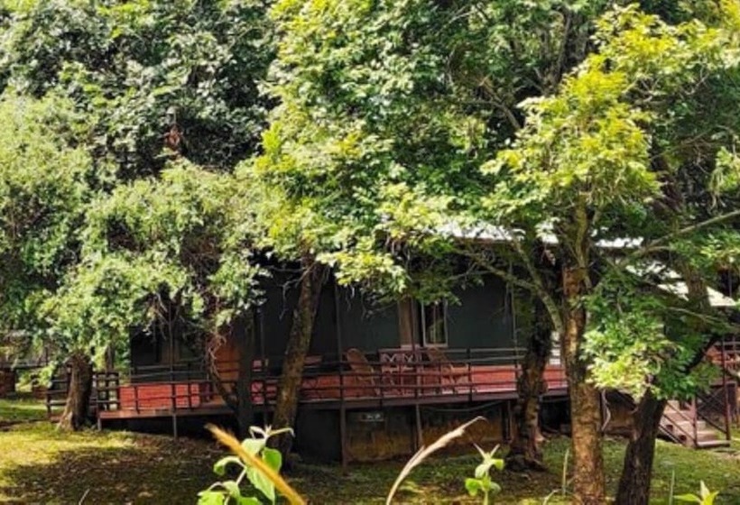 渡假胜地 Jungle Hut