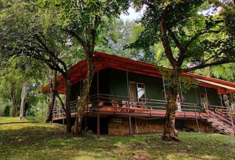 渡假胜地 Jungle Hut