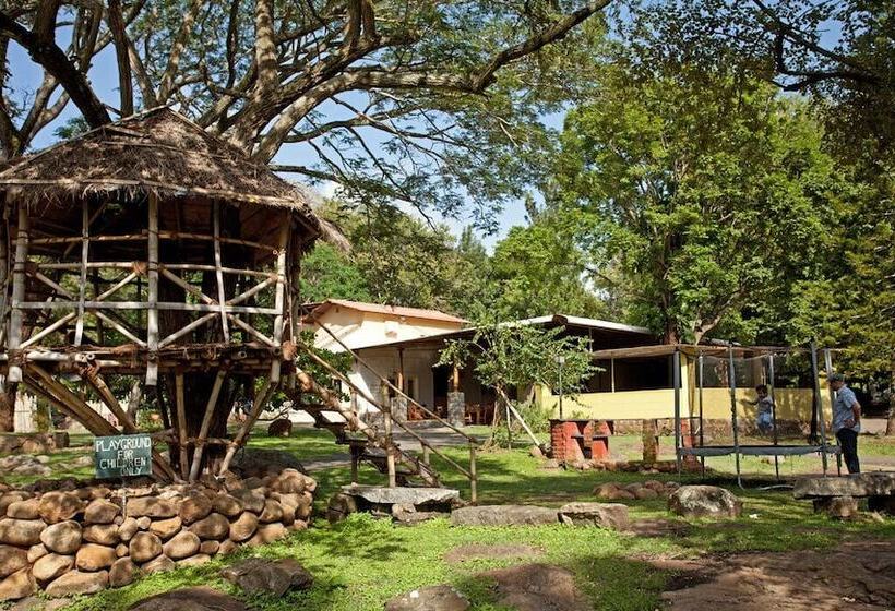 渡假胜地 Jungle Hut