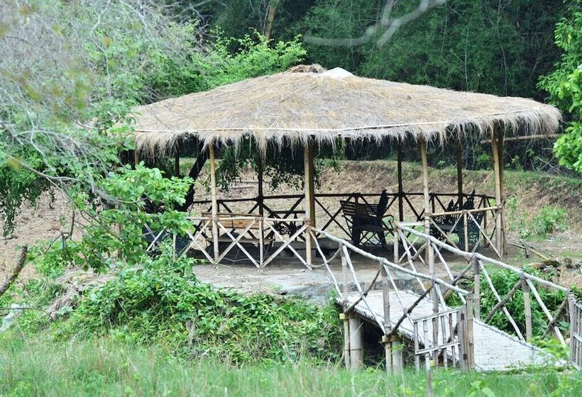 渡假胜地 Jungle Hut