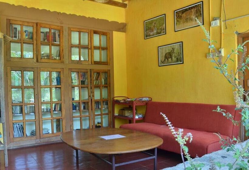 渡假胜地 Jungle Hut