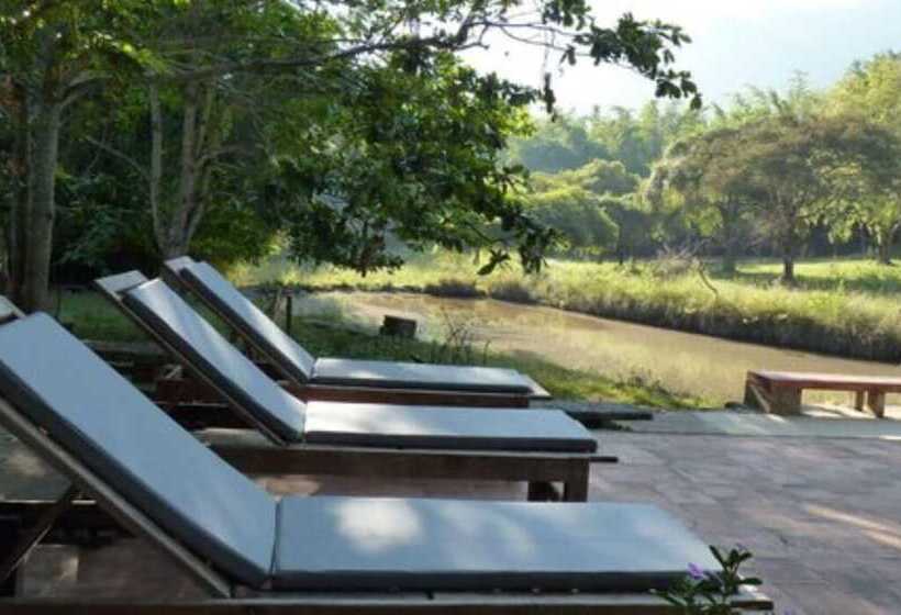 渡假胜地 Jungle Hut