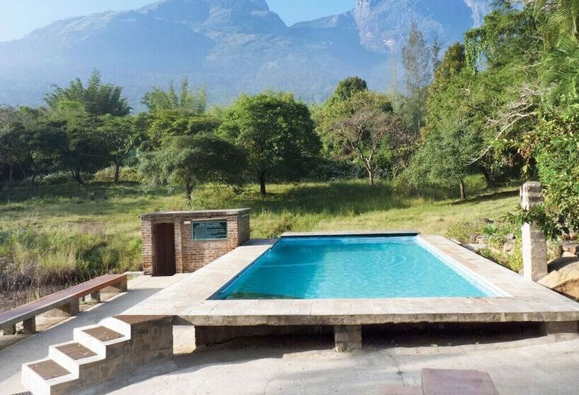 渡假胜地 Jungle Hut