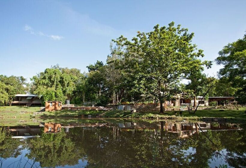 渡假胜地 Jungle Hut