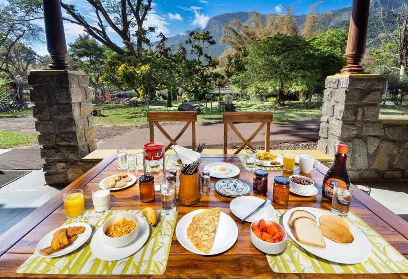 渡假胜地 Jungle Hut