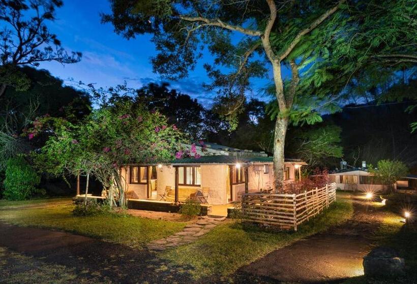 渡假胜地 Jungle Hut