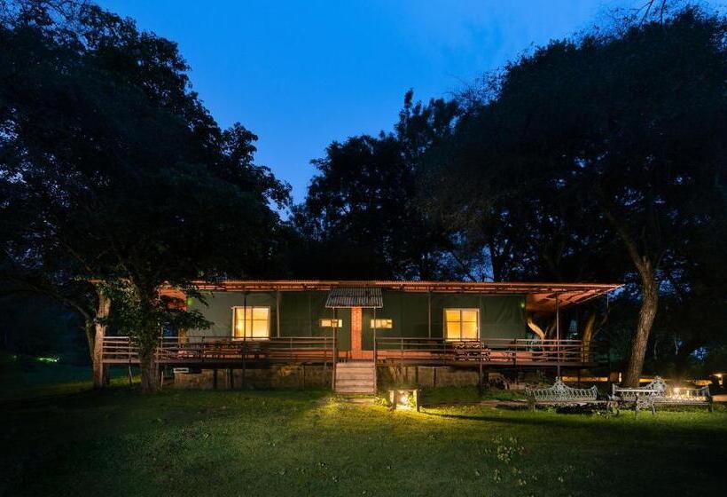 渡假胜地 Jungle Hut