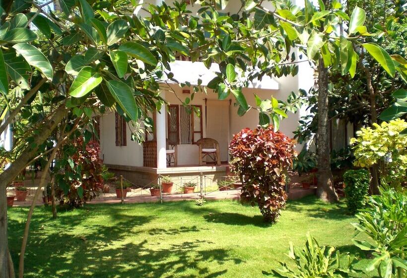 استراحتگاه The Oceano