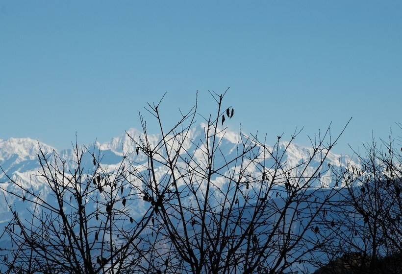 منتجع The Terraces